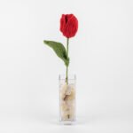 Cuboid Tulip Vase, Red-6×6×33cm.